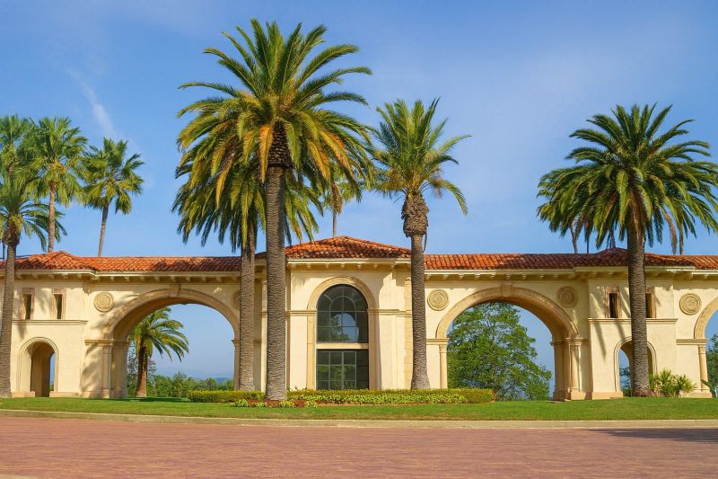 Hedge Installation in Tarzana, CA