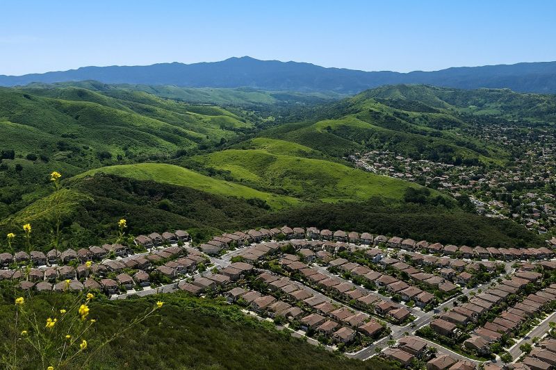 Shrub Replacement in Simi Valley, CA