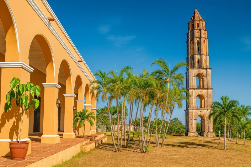 Shrub Replacement in Hacienda Heights, CA