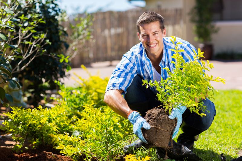 Rose Bush Planting detail